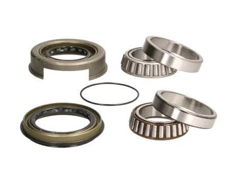 SNR R141.60 Wheel bearing kit