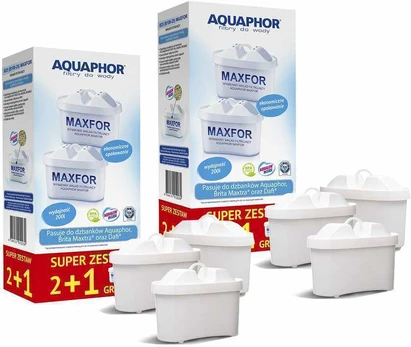Aquaphor B100-25, 6 vnt..