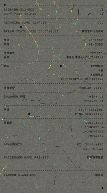 Dream State Code of Conduct ( Middle Income Level)