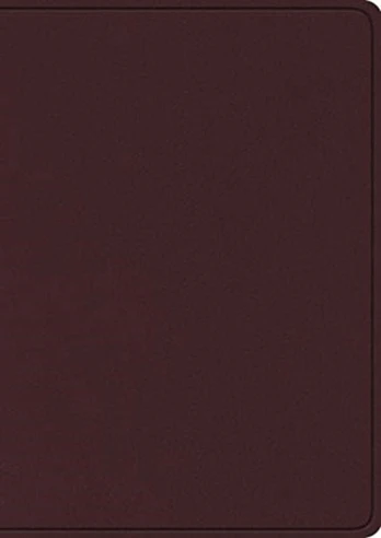 ESV Study Bible, Large Print