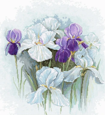 Irises SB2367 - siuvinėjimo kryželiu rinkinys