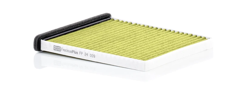 Salono filtras MANN-FILTER FP 24 009