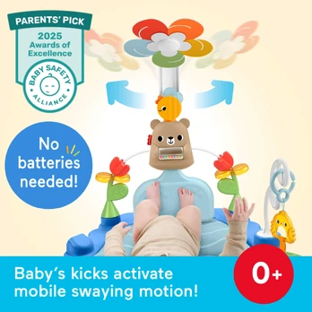 Fisher-Price Balanced Beginnings Kick & Sway Gym