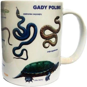 Soliton Roplių taurė