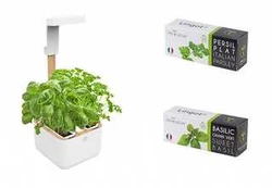 Veritable Botaneo EYLO Indoor Garden - VBOT-EAWBA-B-66