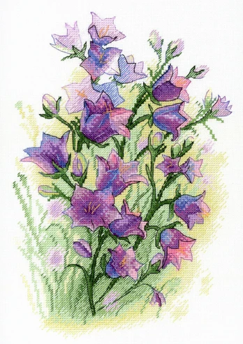 Freshness Serenade SA-035