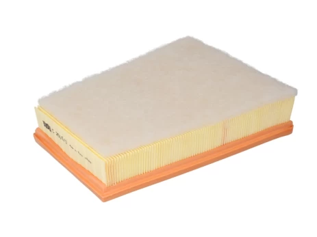 Oro filtras MANN-FILTER C2510/1