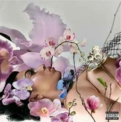 Vinyl (LP) Kali Uchis - Orquídeas
