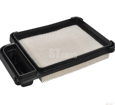 Oro filtras Kohler 2008302S