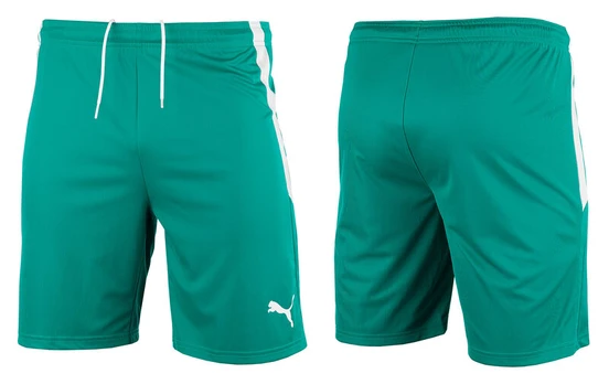 Šortai vyrams PUMA teamLIGA 704924 05