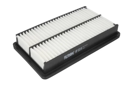Oro filtras FILTRON AP113/9