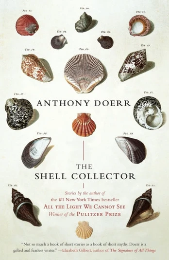 Shell Collector