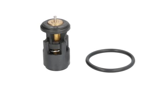termostatas, aušinimo skystis THERMOTEC D2A005TT