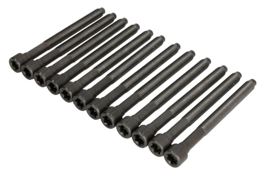ELRING EL005610 Cylinder head bolt set