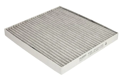 Salono filtras PURRO PUR-PC8022AG