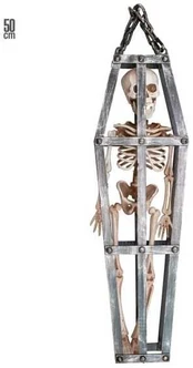 Widmann Skelet i bur, 50 cm