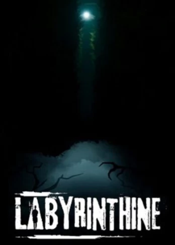 Labyrinthine PC