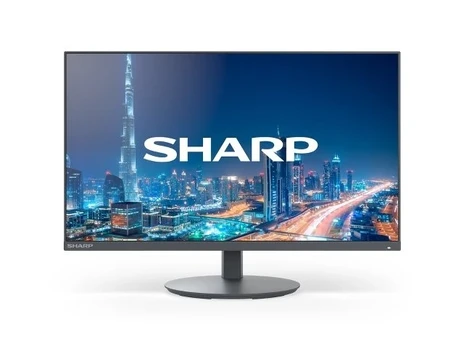 Monitorius Sharp DD-E224F