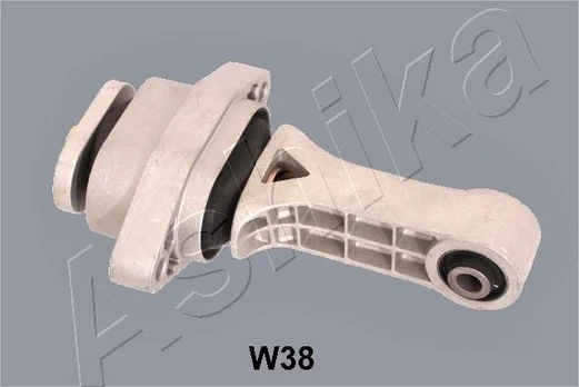 Variklio montavimas ASHIKA GOM-W38