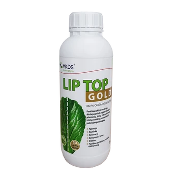 Mkds Lip top GOLD,1 L