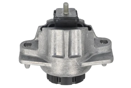 Variklio montavimas TEDGUM TED84722