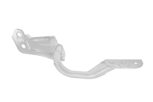 Variklio gaubto vyris 1750018