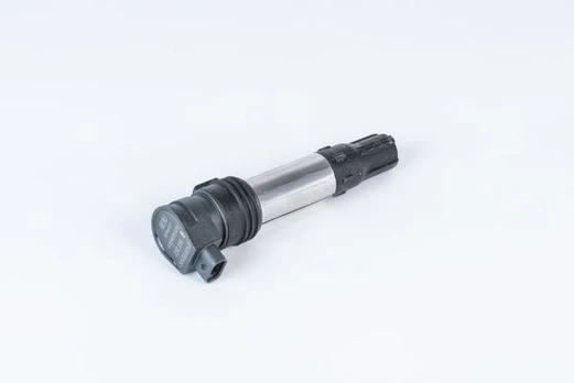 Ritė, uždegimas BorgWarner (BERU) ZSE256