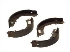 DELPHI LS1643 Brake shoe set kaina
