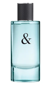 Tualetinis vanduo Tiffany & Co Love Him EDT vyrams 90 ml kaina