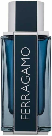 Salvatore Ferragamo Ferragamo Intense Leather EDP parfumuotas vanduo vyrams, 100 ml