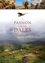 Passion For The Dales kaina