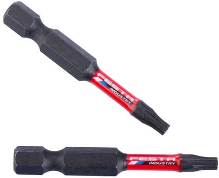 FESTA INDUSTRY T15 50 mm S2 1/4" Torque Bit, 2 vnt.