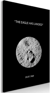 Artgeist Paveikslas - The Eagle Has Landed (1 Part) Vertical kaina