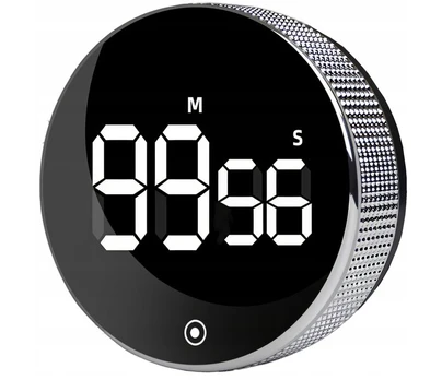 Elektroninis magnetinis laikmatis TimePro