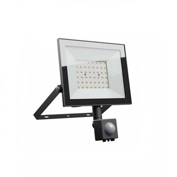 PROŽEKTORIUS LAUKO LED SU JUDESIO DAVIKLIU 50W 230V NW IP44