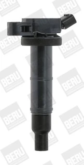 Ritė, uždegimas BorgWarner (BERU) ZSE171