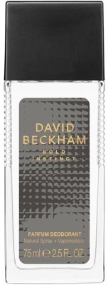 Vyriškas dezodorantas David Beckham Bold Instinct, 75 ml kaina