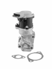 ERG vožtuvas BorgWarner (Wahler) 712057D
