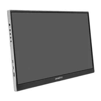 Monitorius ANMITE A160W04H
