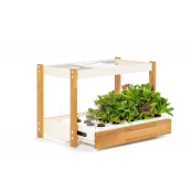 Click and Grow 25 - White (Salad Greens 54x pack) kaina