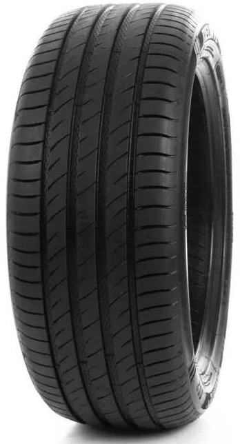 Delinte DS2 165/65 R13 77T