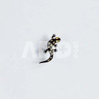 Ženkliukas FIRE SALAMANDER / Ugninė salamandra