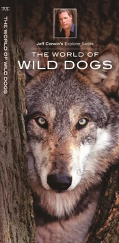 World of Wild Dogs
