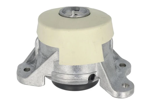 Variklio montavimas TEDGUM TED87817