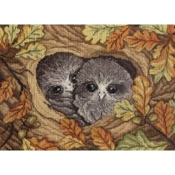Owls SNV-548 siuvinėjimo rinkinys iš MP Studija