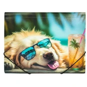 Aplankas su guma A4 CHILLOUT DOG kaina