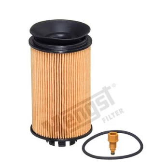 Alyvos filtras HENGST FILTER E845H D335