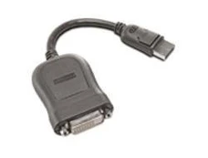 Adapteris Lenovo Displayport, DVI-D, pilka