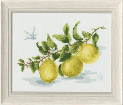 Beldizart (C) Citrinos šakelė S/FS006