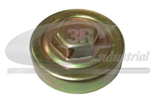 Radiatoriaus dangtelis 3RG 81663
